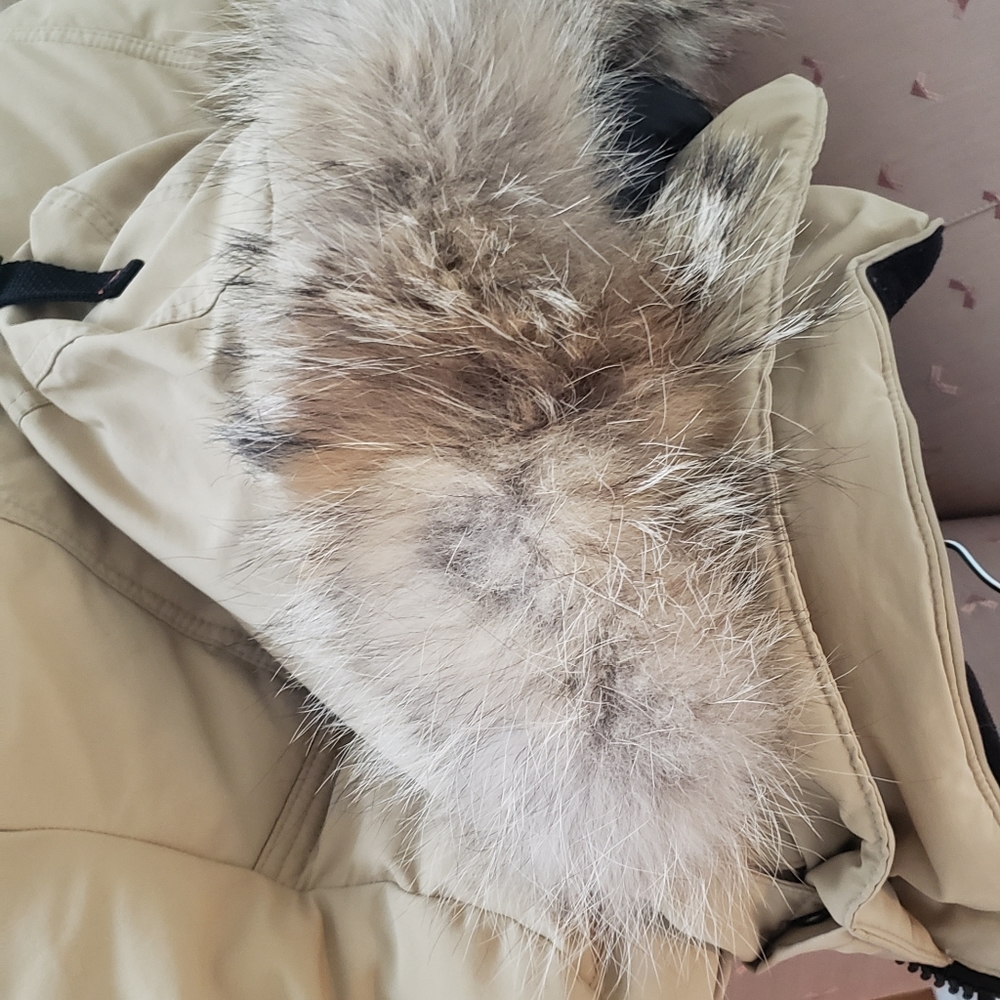 Winter parka